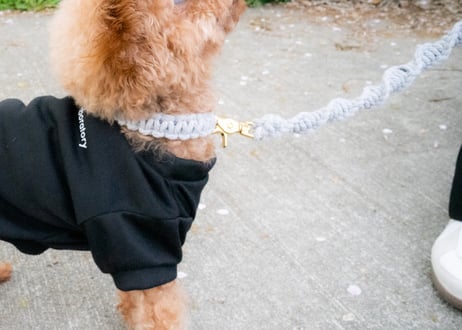 犬用 首輪 マクラメ【macramé leather collar 】