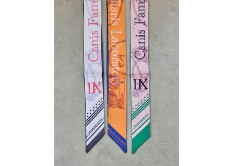 narrow scarf