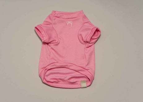 犬用 服 Tシャツ【t-shirt〈a〉】