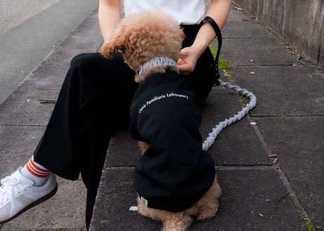 犬用 服 Tシャツ【t-shirt〈b〉】