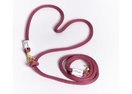 hands free braid leash
