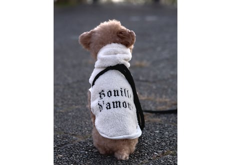 boa hooded pullover