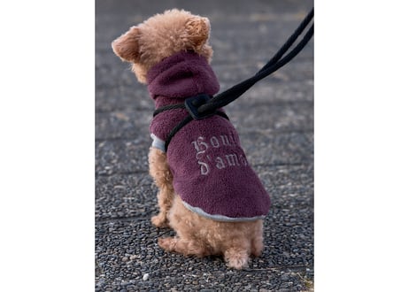 boa hooded pullover