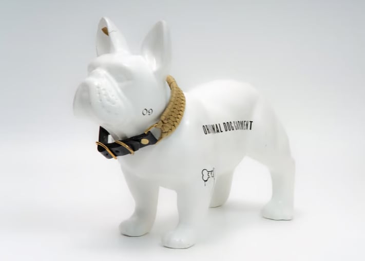 犬用 首輪 パラコード 【helix collar】 | CanisFamiliarisLab