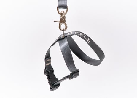 TASUKI harness【20mm】【XS~Ｓ】