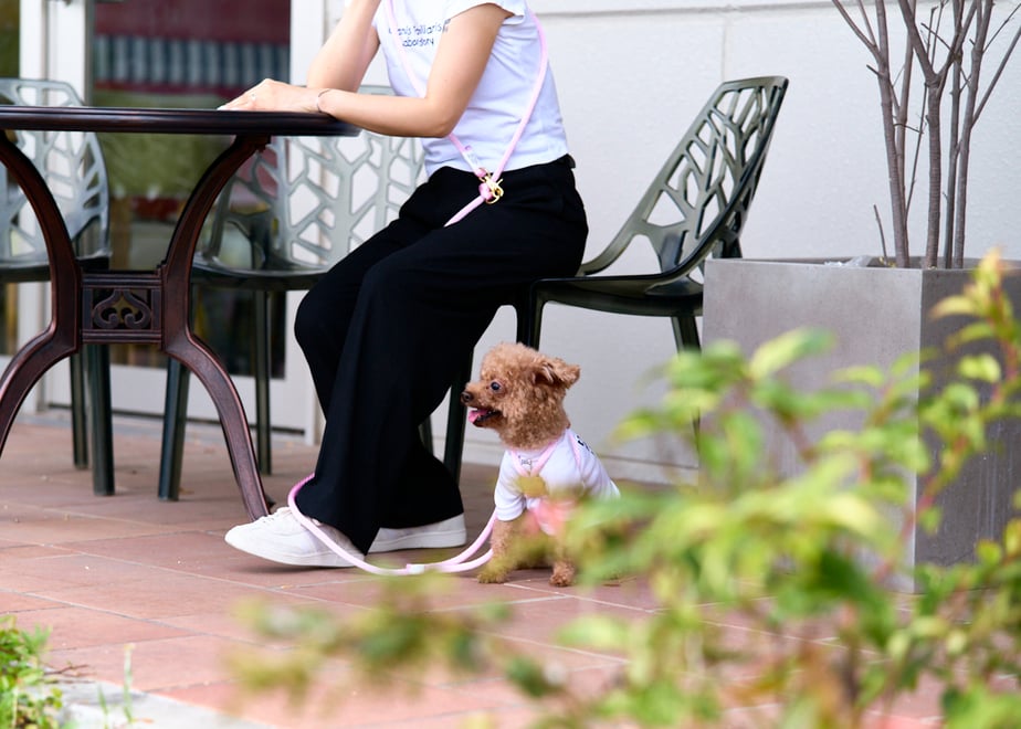 678936b22cd2e10ef890dc6b