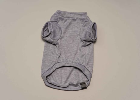 犬用 服 Tシャツ【t-shirt〈d〉】