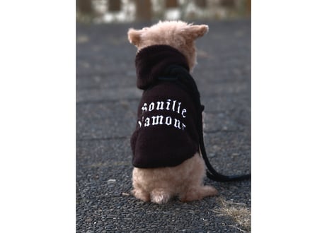 boa hooded pullover
