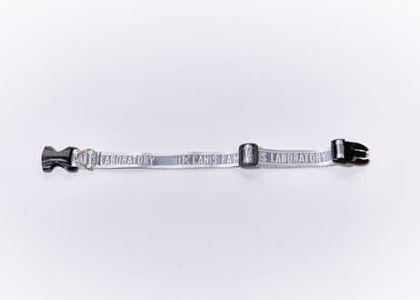 OBI collar