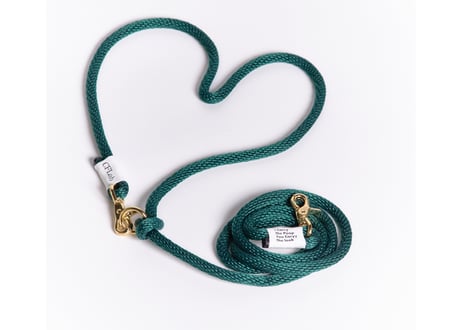 hands free braid leash