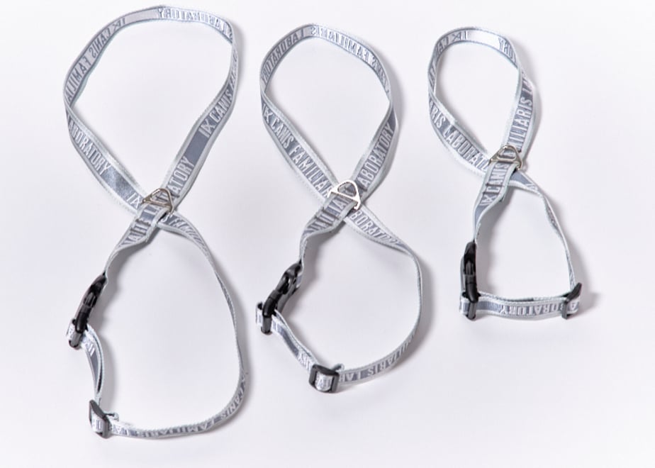 687502ac9475d4eaf4fc232a