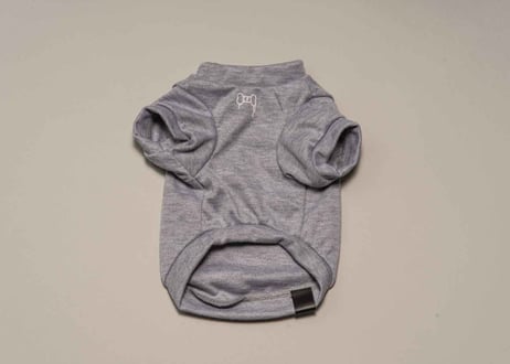 犬用 服 Tシャツ【t-shirt〈a〉】