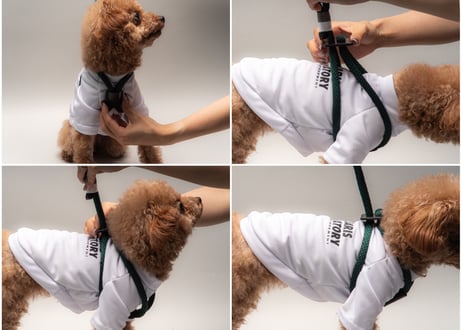 犬用 ロープハーネス【braid harness】