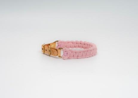犬用 首輪 マクラメ【macramé leather collar 】