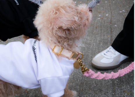 犬用 首輪 マクラメ【macramé collar】