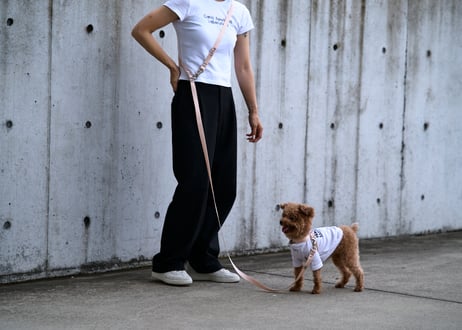 OBI hands free