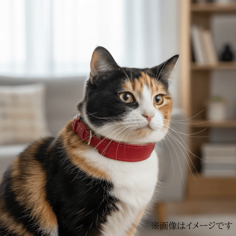 猫首輪 | STORES