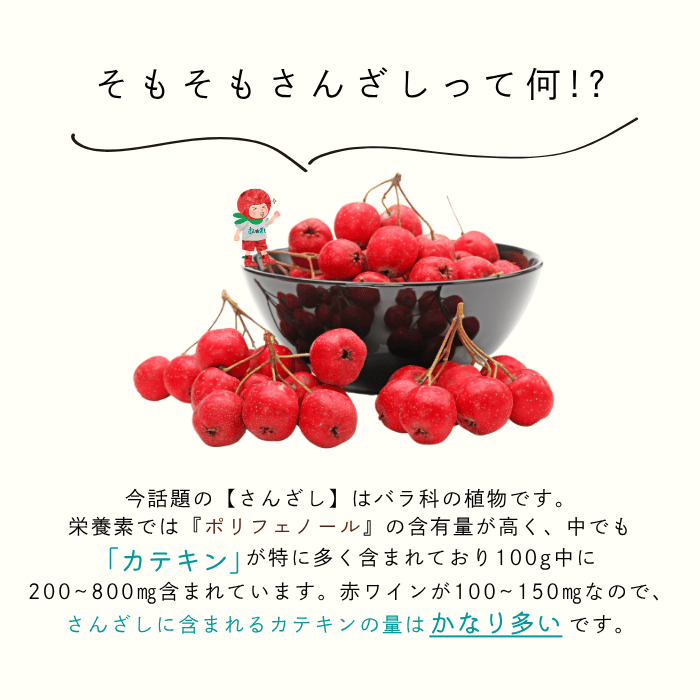 他商品同時購入必須】さんざしぽん酢 360ml 【1本】 | さんざし王国