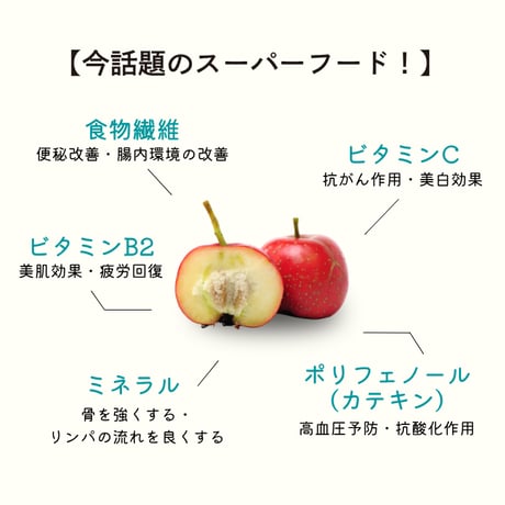 『定期便』フルーツハーブさんざし (き釈用) 900ml 【3本】