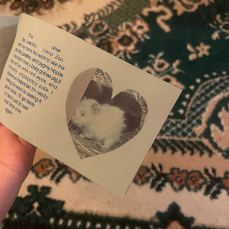 Rat zine