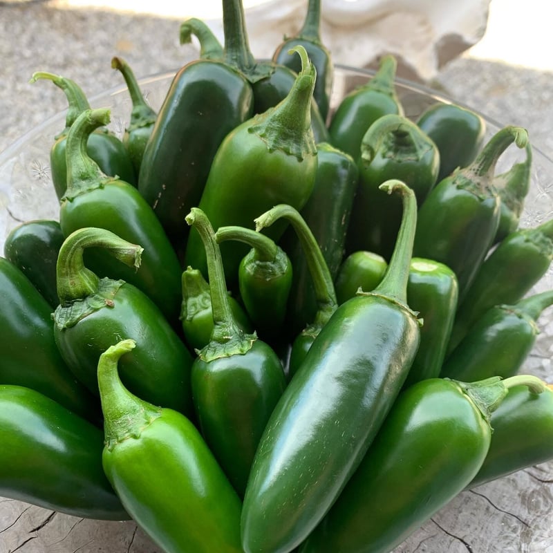 ヘーヨー　ハラペーニョ・ぼたんこしょう 無選別品 無農薬 採れたてハラペーニョ 500g | zipolite シポリテ