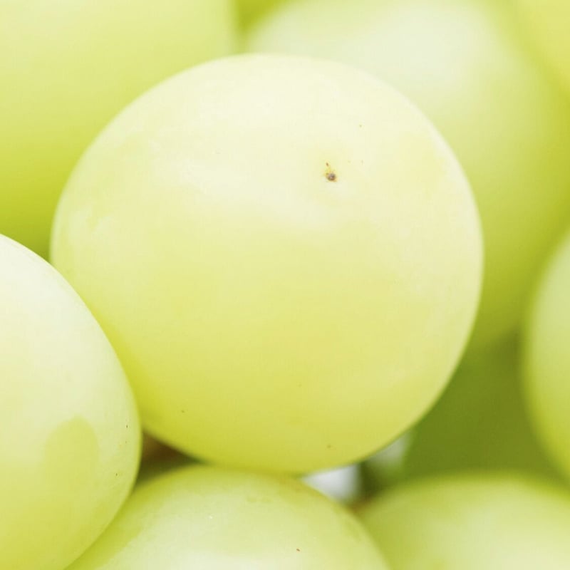 2L/2房】まろやかな甘みと高貴な香り！山梨県産シャイン