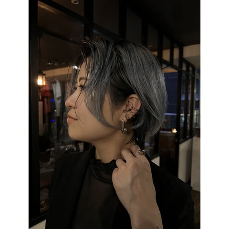 Delphine Charlotte Parmentier Paris | Etemel-EA-003 pierced earrings (Palladium/Gray)