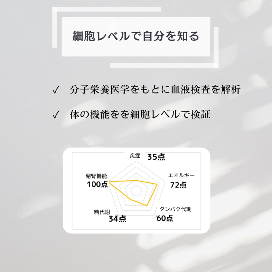 631ab165852d4422b6b60cee