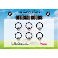 「ウサギと亀!!!SPRING TOUR2025🐇🐢- 亀はいつかウサギだって捲る – 」ランダムヘアゴム