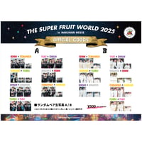 「THE SUPER FRUIT WORLD 2025 in幕張メッセ」ランダムペア生写真