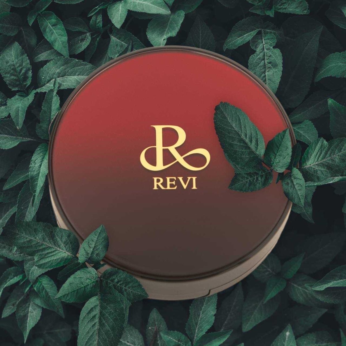 REVI 陶肌ファンデーション | fav.'s STORE