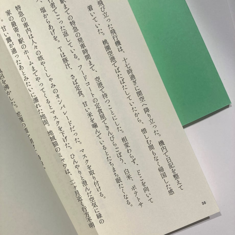 67ef385d50f81d260a8d1fe7