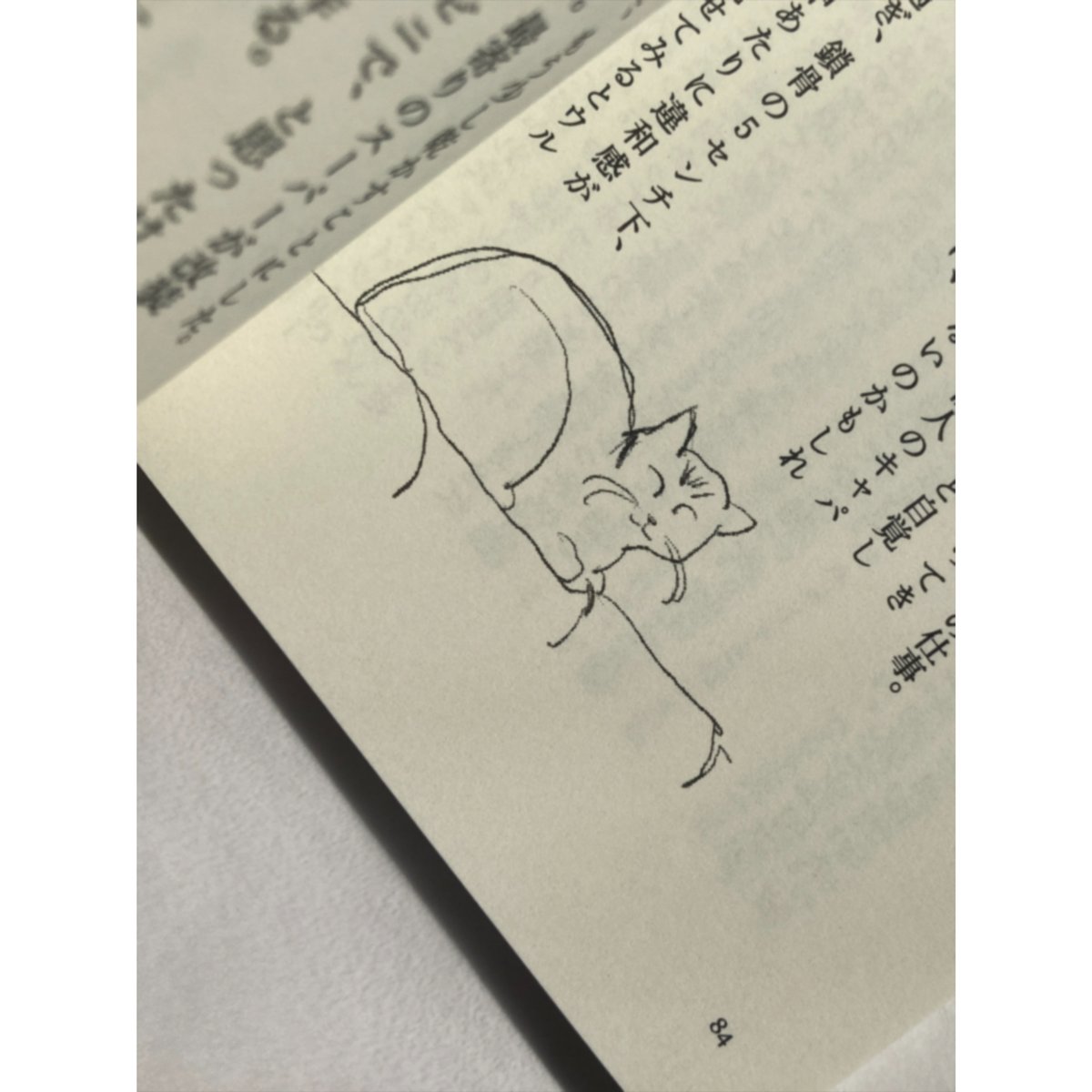 完売] 蟹の親子 日記シリーズ⑦ 2025 1/2 | kanioya_shop