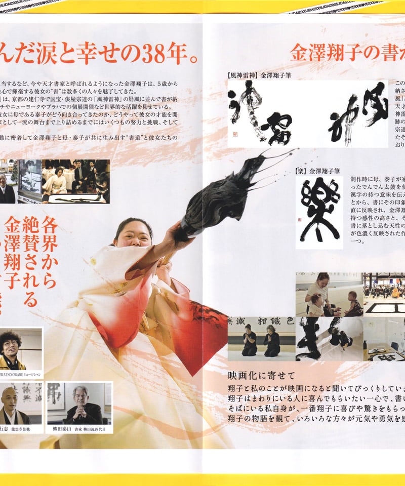 共に生きる 書家金澤翔子 | 映画チラシ・フライヤー・パンフレット販売