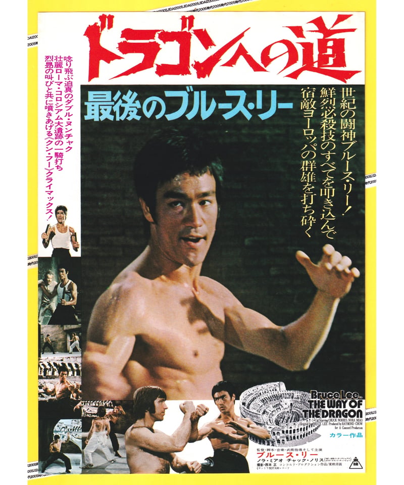 ドラゴンへの道 最後のブルース・リー | 映画チラシ・フライヤー