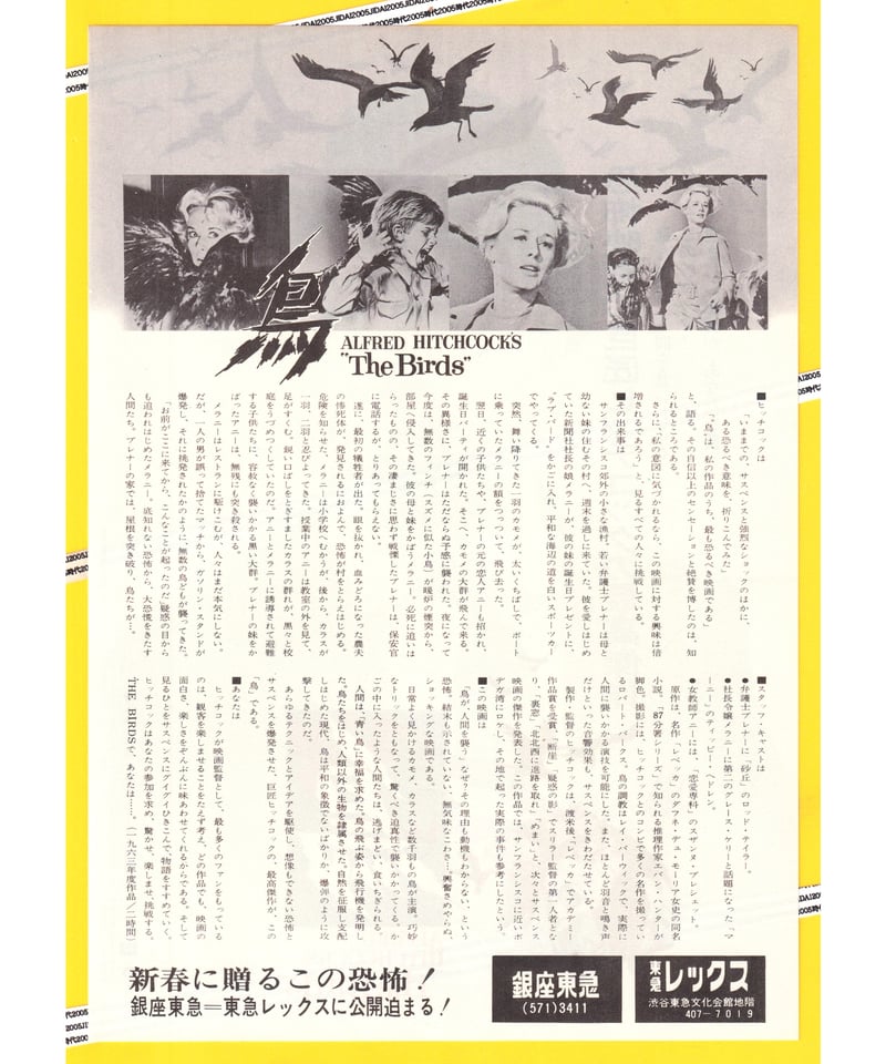 鳥【1973年再公開版】 | 映画チラシ・フライヤー・パンフレット販売 大辞典