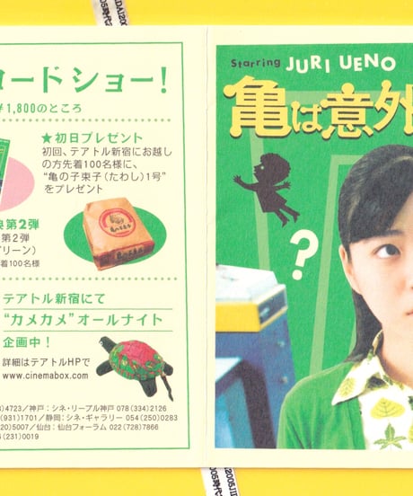②亀は意外と速く泳ぐ