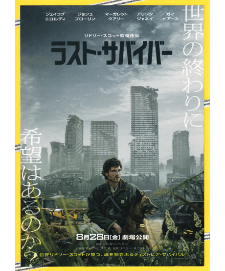 CATEGORY チラシ・フライヤー | 映画チラシ・フライヤー・パンフレット