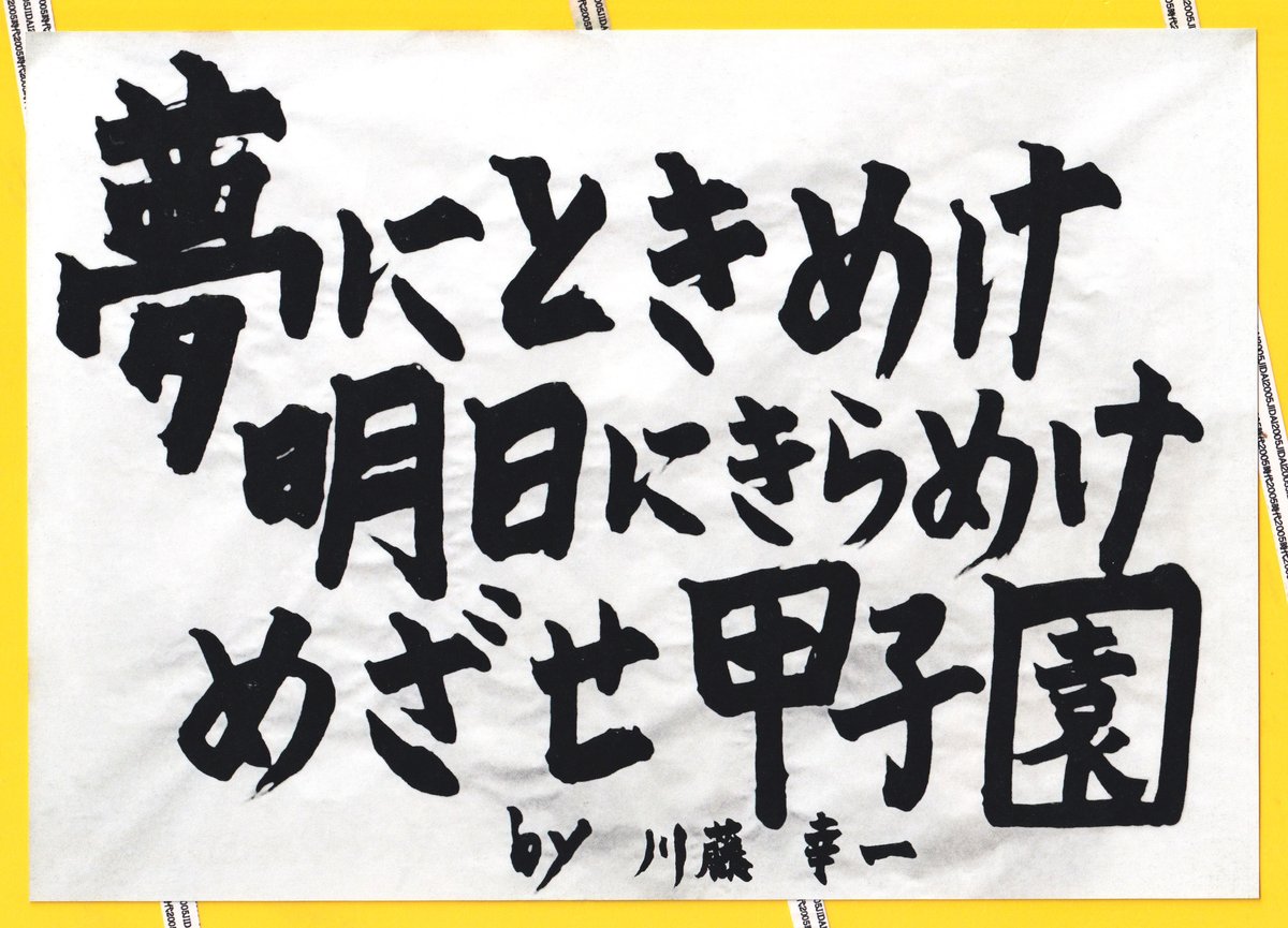 公の場での発言・インタビュー報道記録