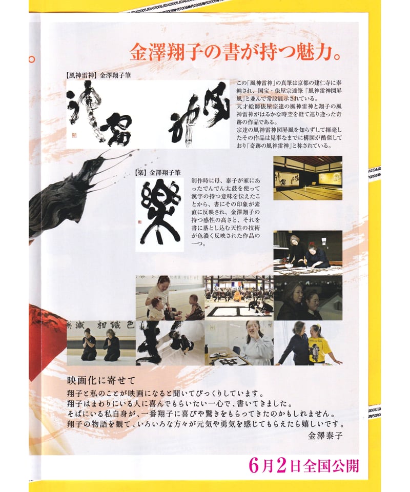 共に生きる 書家金澤翔子 | 映画チラシ・フライヤー・パンフレット販売