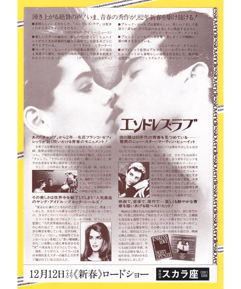 Ⓟエンドレス・ラブ | 映画チラシ・フライヤー・パンフレット販売 大辞典