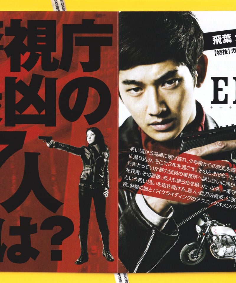 映画 フライヤー ワイルド7 ☆ 永山瑛太 丸山隆平 出演映画 フライヤー 3種