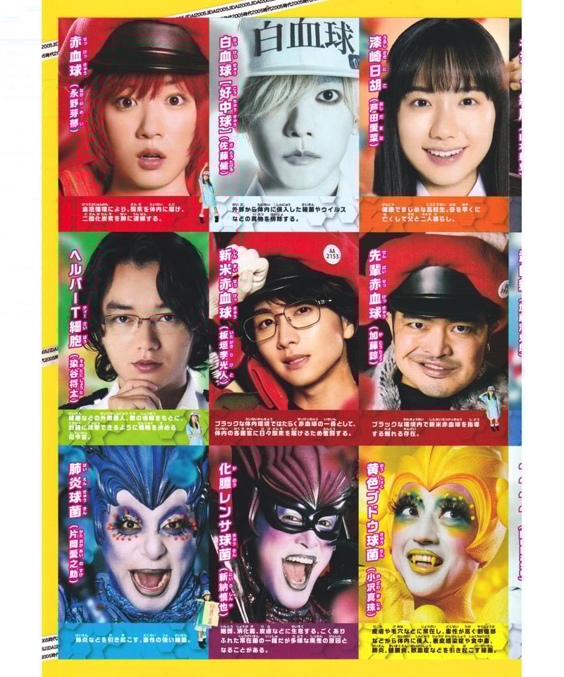 はたらく細胞 深瀬 直筆サイン入り フライヤー はたらく細胞 深瀬 直筆