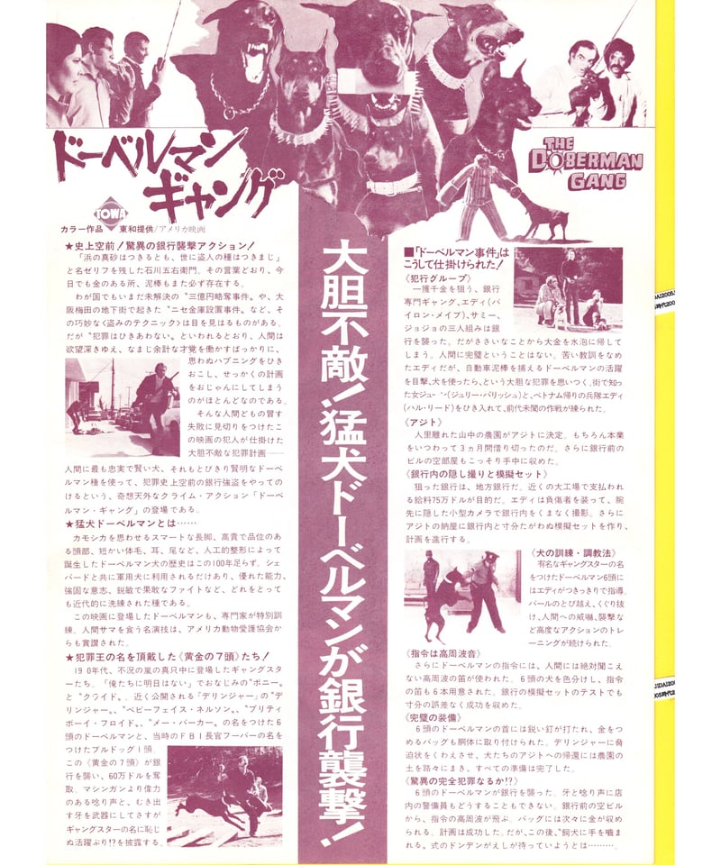 ドーベルマン・ギャング | 映画チラシ・フライヤー・パンフレット販売