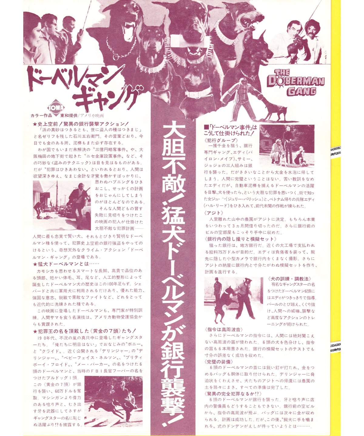 ドーベルマン・ギャング | 映画チラシ・フライヤー・パンフレット販売