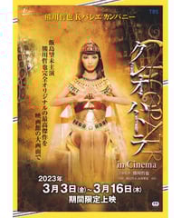美しい彼 ～eternal～エターナル 劇場版 | 映画チラシ