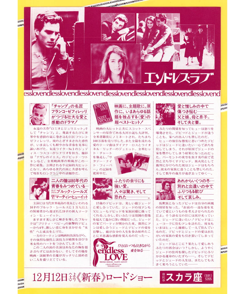 Ⓟエンドレス・ラブ | 映画チラシ・フライヤー・パンフレット販売 大辞典