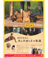 岩合光昭の世界ネコ歩き　あるがままに、水と大地のネコ家族