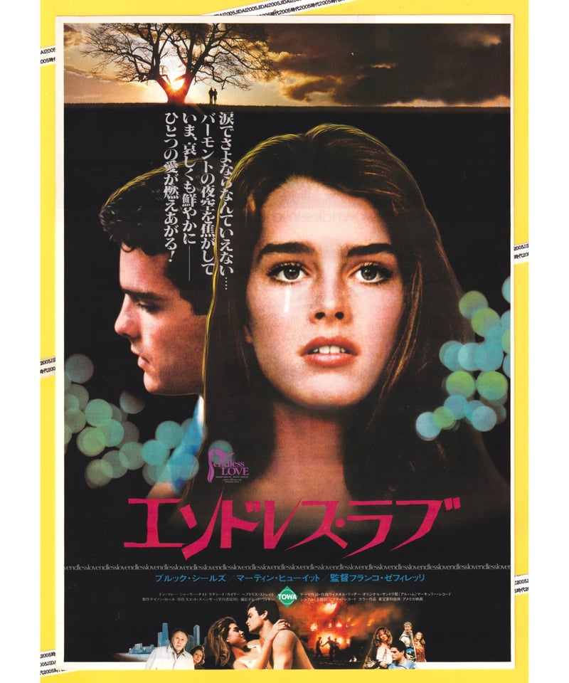マ*ウ様 映画フライヤー　3枚　キャノンボール /エンドレス・ラブ Ⓟエンドレス・ラブ | 映画チラシ・フライヤー・パンフレット販売 大辞典