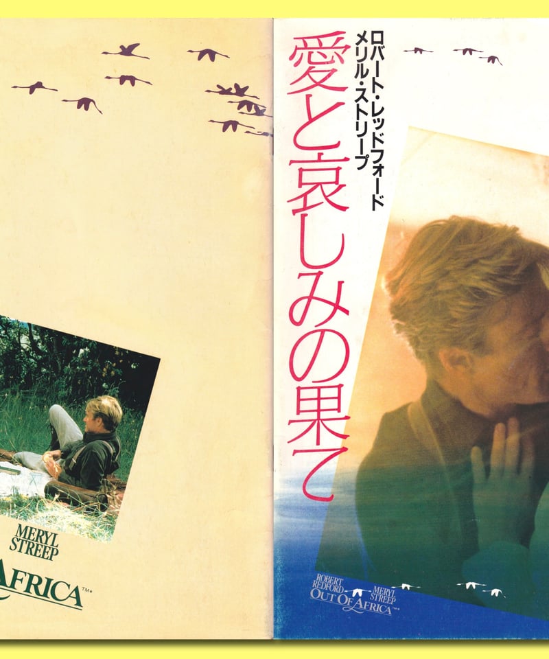 Ⓟ愛と哀しみの果て | 映画チラシ・フライヤー・パンフレット販売 大辞典